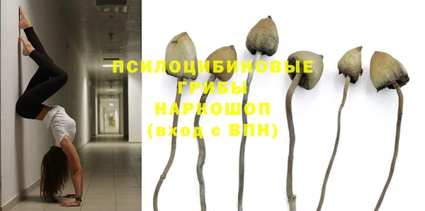 синтетический гашиш Няндома