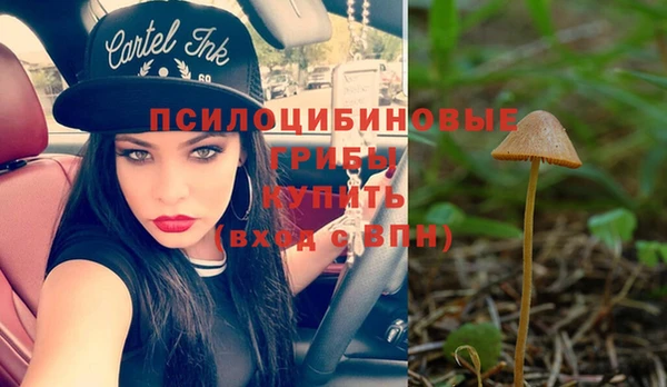 ALPHA PVP Нязепетровск