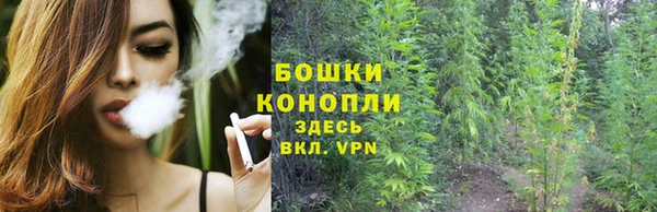 первитин Нягань