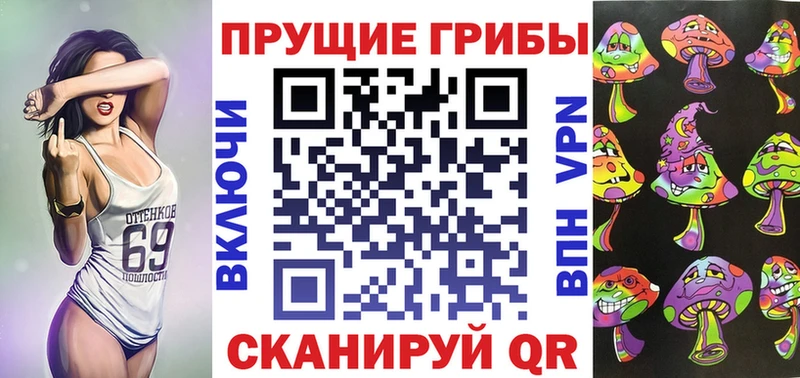 MEGA   Кунгур  Галлюциногенные грибы Psilocybine cubensis 