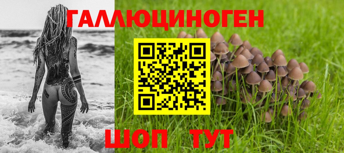 Кунгур  Псилоцибиновые грибы мухоморы  где купить   Вход с VPN  Псилоцибиновые грибы ЛСД 