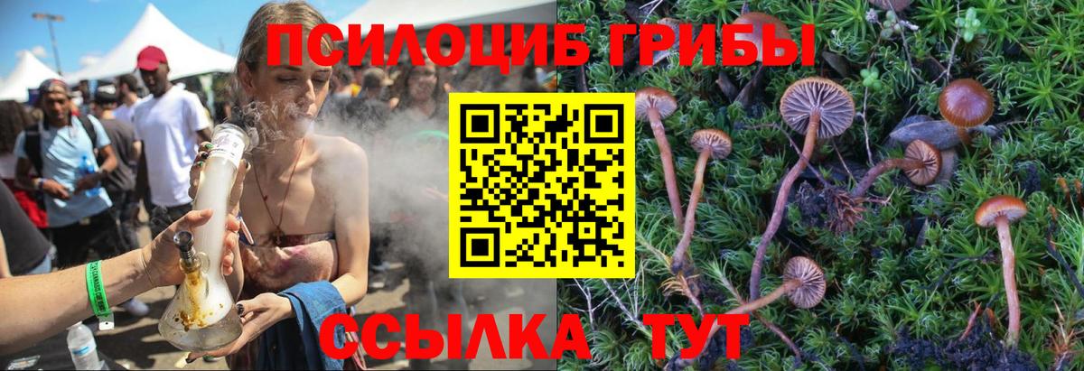 Псилоцибиновые грибы ЛСД Кунгур